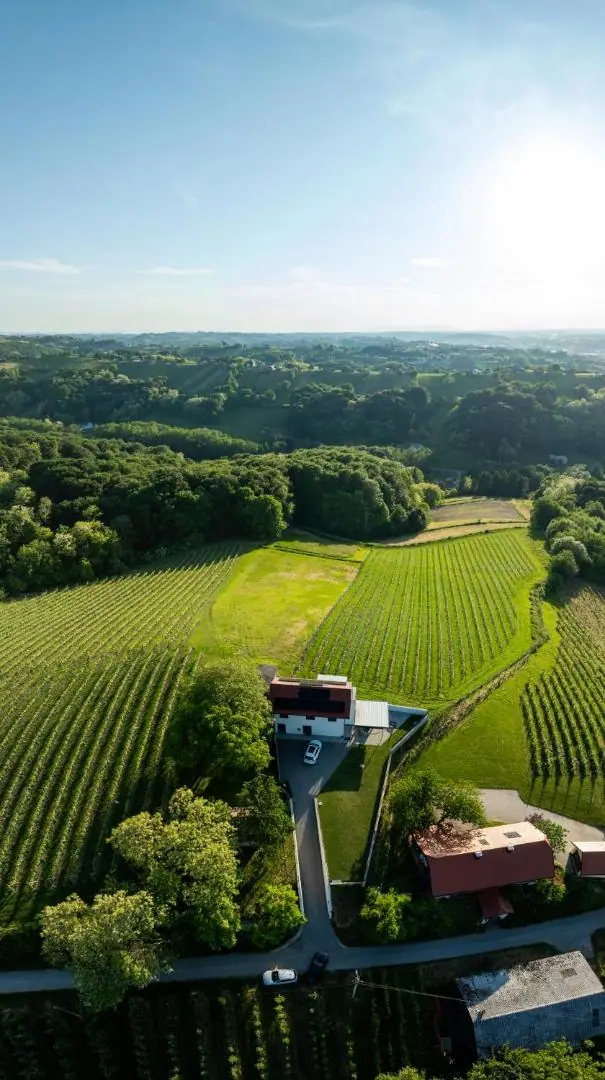 Pogled iz zraka na hišo, obdano z vinogradi in gozdom